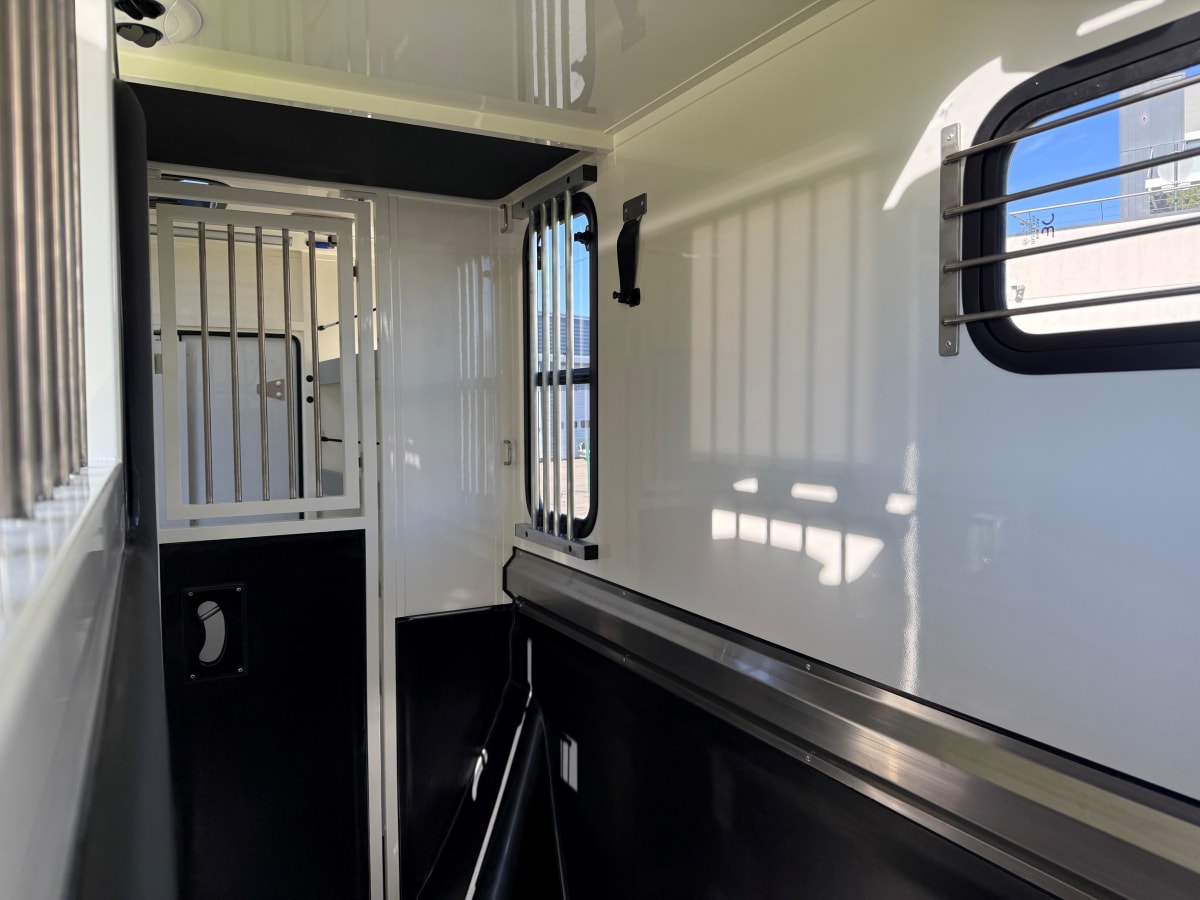 Ameline HARAS 3 PLACES - Image 8