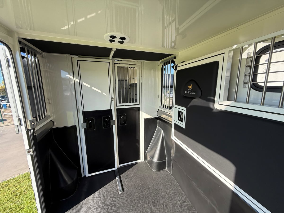 Ameline HARAS 3 PLACES - Image 9