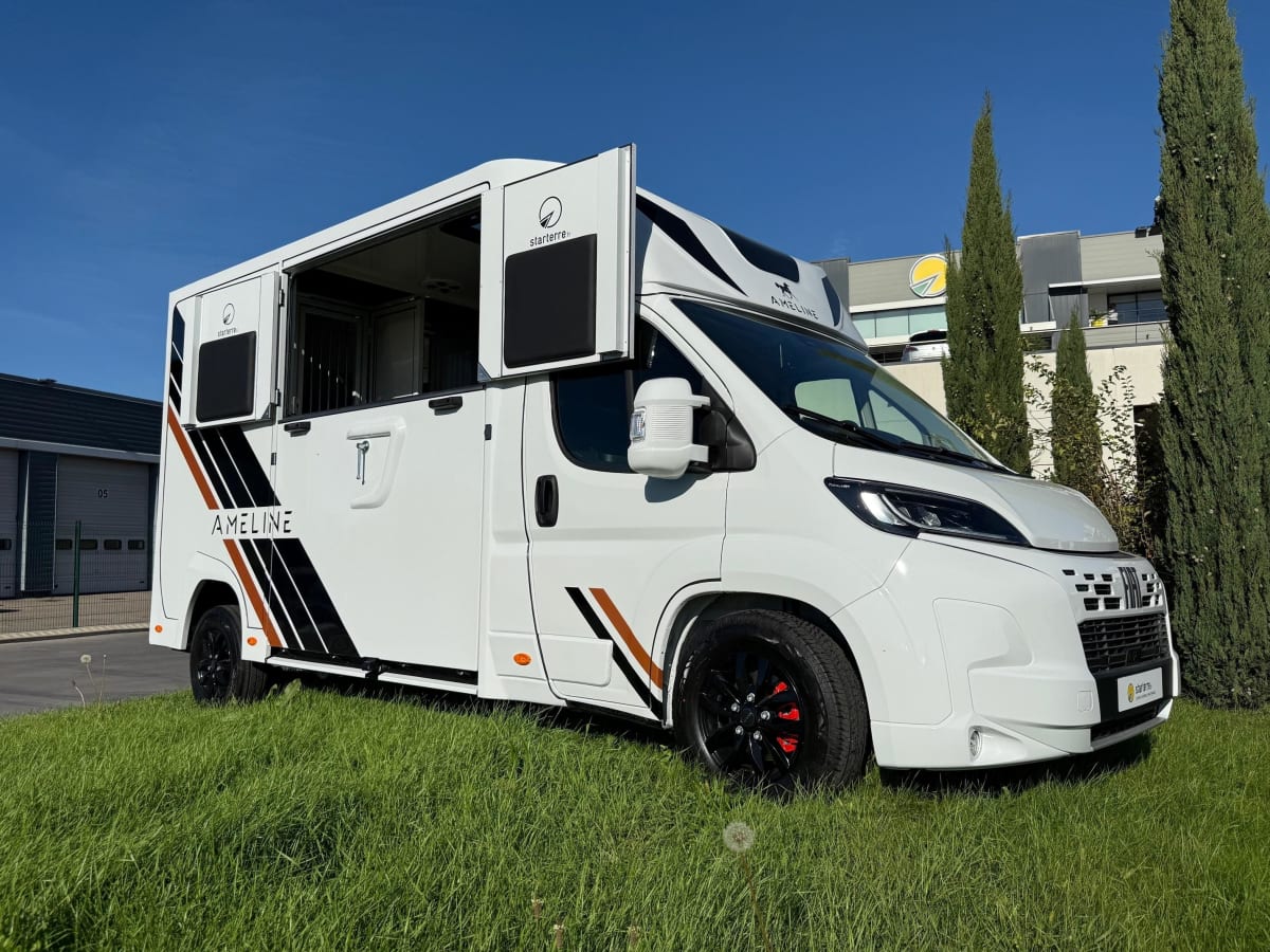 Ameline HARAS 3 PLACES - Image 3