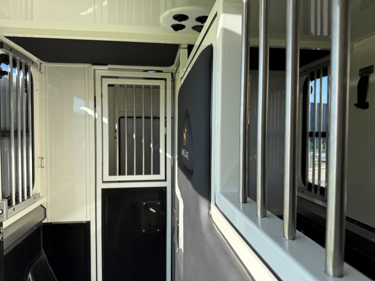 Ameline HARAS 3 PLACES - Image 7