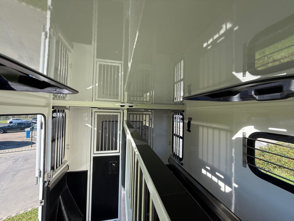 Ameline HARAS 3 PLACES - Image 6