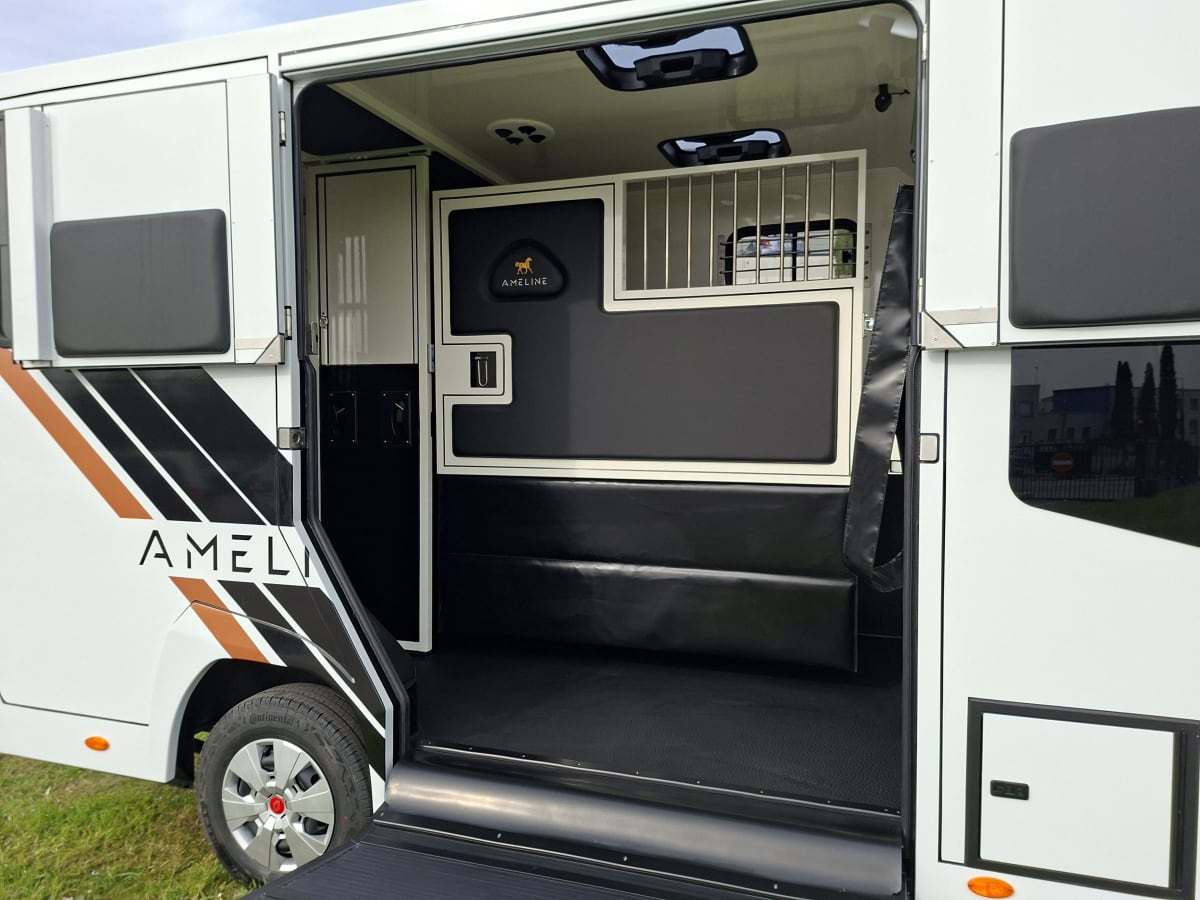 Ameline HARAS 5 PLACES - Image 7