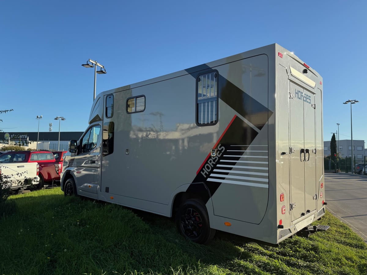 Ameline HARAS 5 PLACES - Image 14