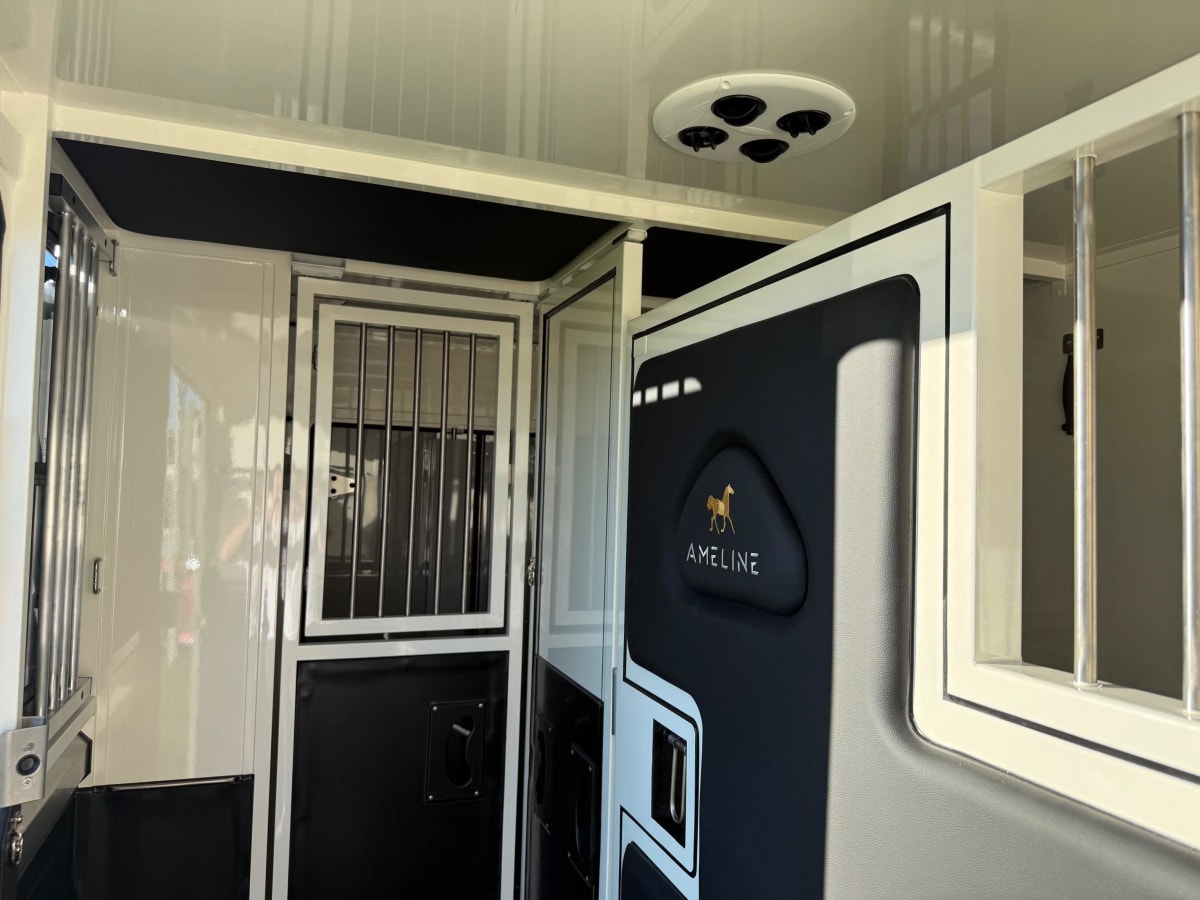 Ameline HARAS 5 PLACES - Image 6