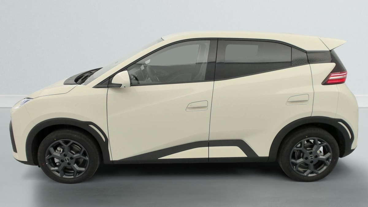 BYD DOLPHIN SURF - Image 48