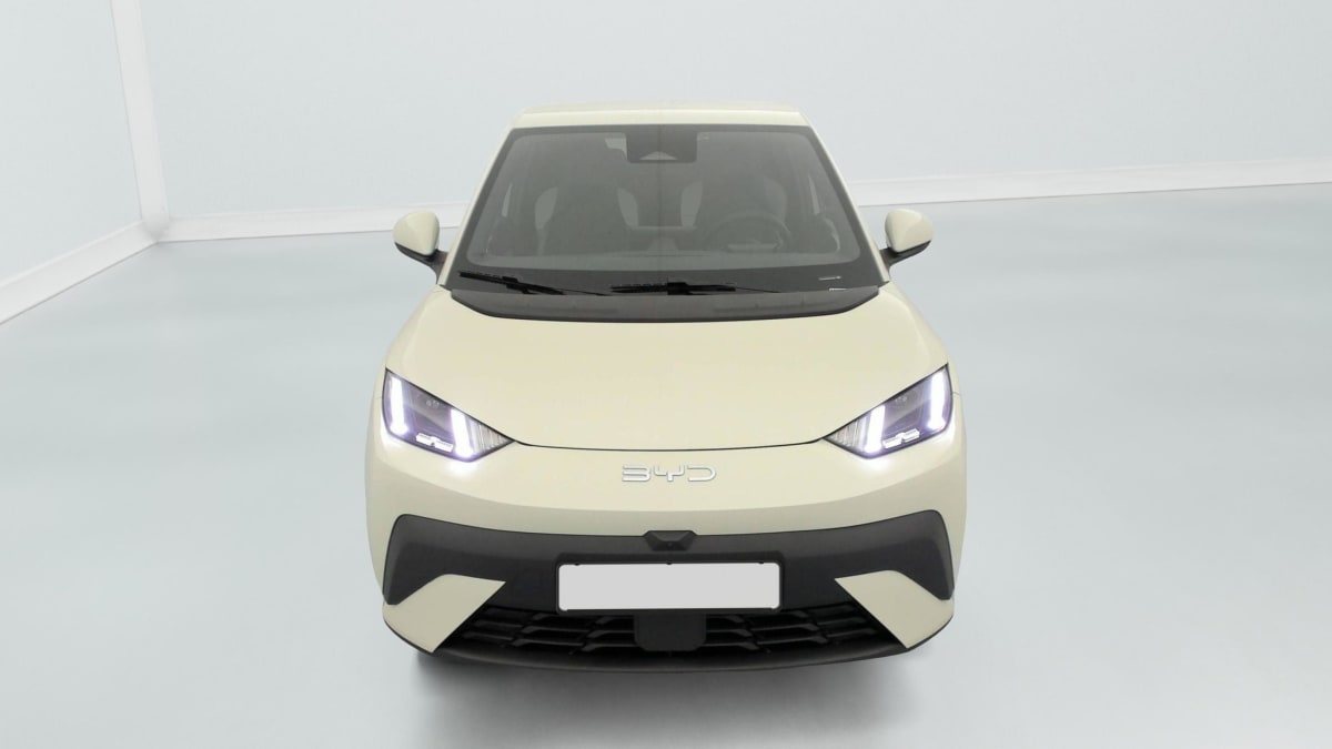 BYD DOLPHIN SURF - Image 46
