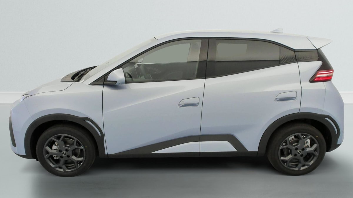 BYD DOLPHIN SURF - Image 24