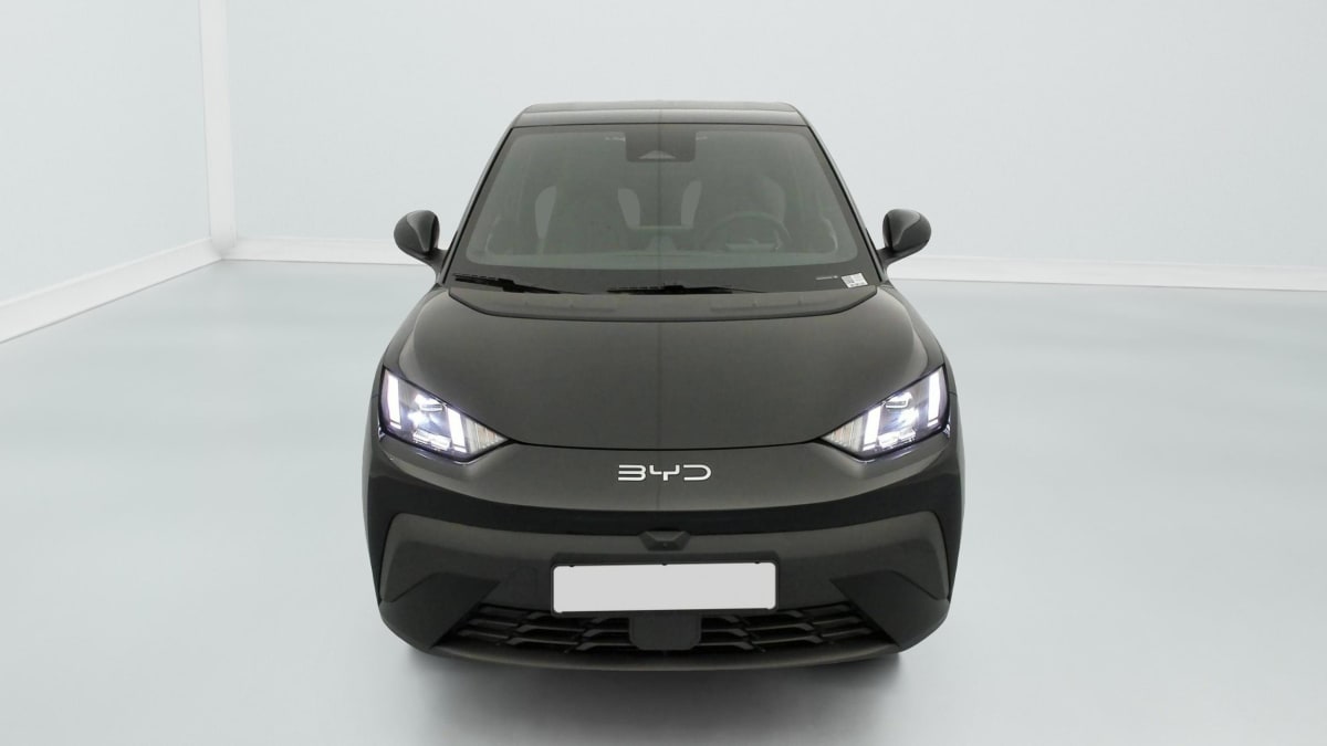 BYD DOLPHIN SURF - Image 2