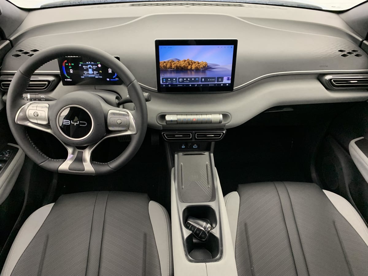 BYD DOLPHIN SURF - Image 32