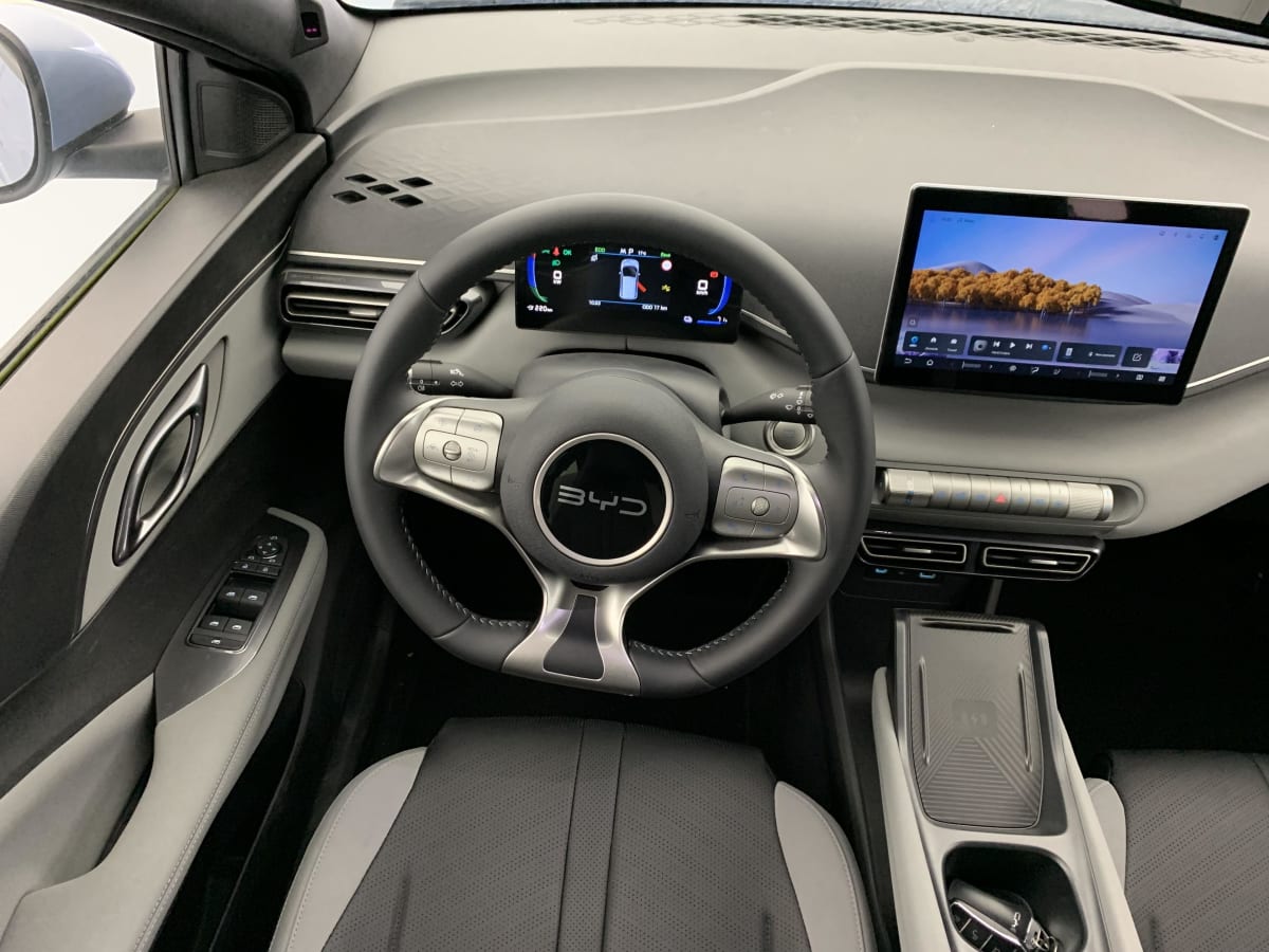 BYD DOLPHIN SURF - Image 33