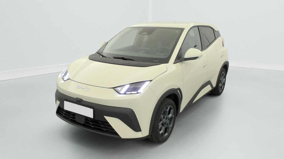 BYD DOLPHIN SURF - Image 47