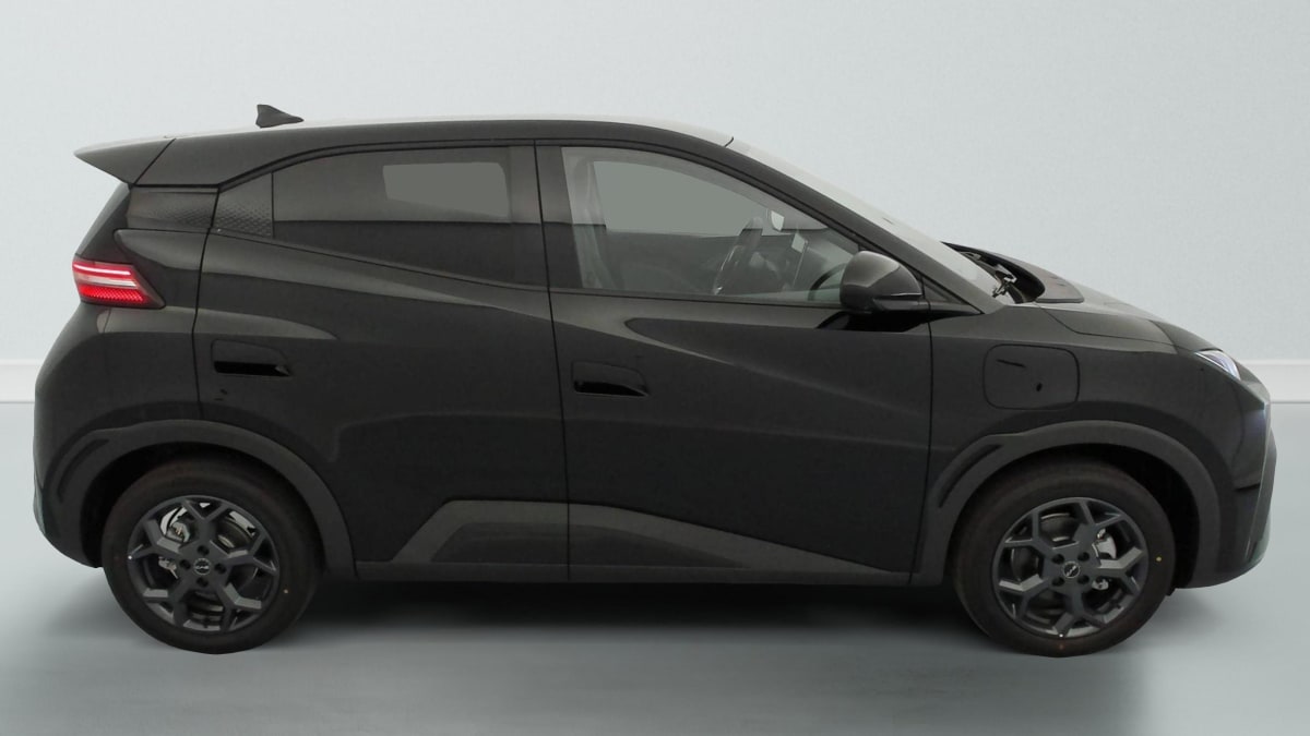 BYD DOLPHIN SURF - Image 8