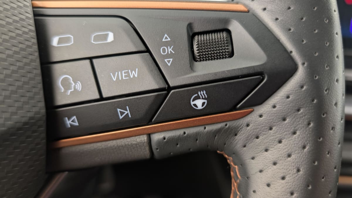 Cupra Formentor - Image 19