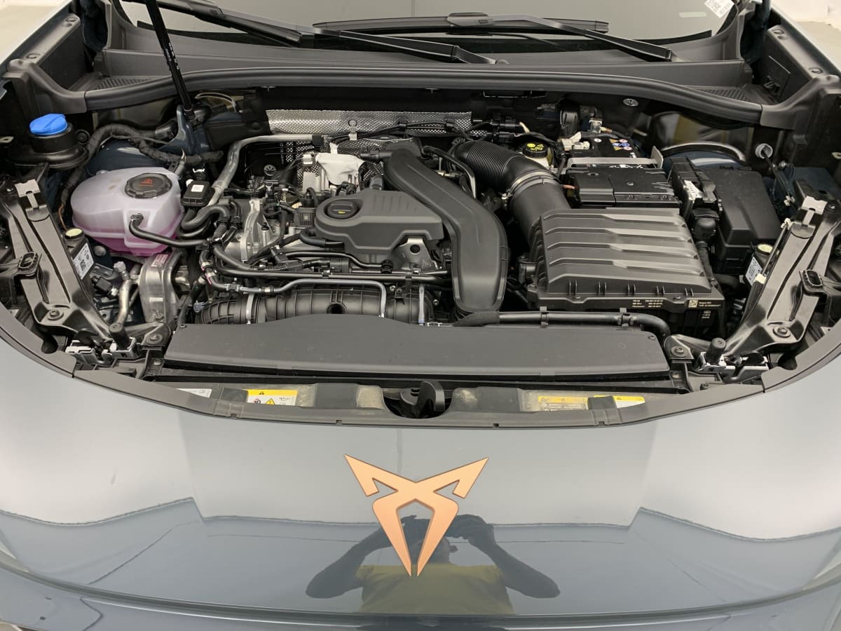 Cupra Terramar - Image 16