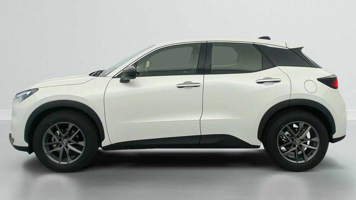 LEXUS LBX 2WD BUSINESS