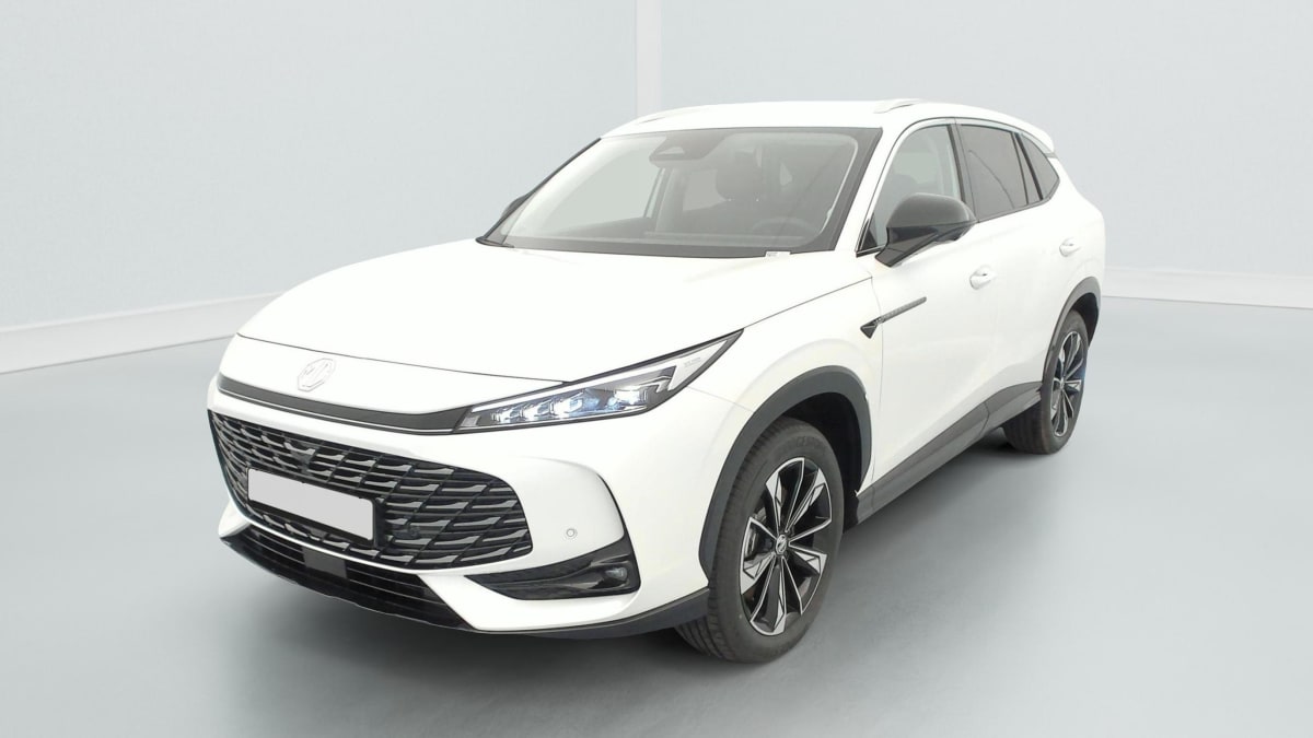 MG EHS - Image 3