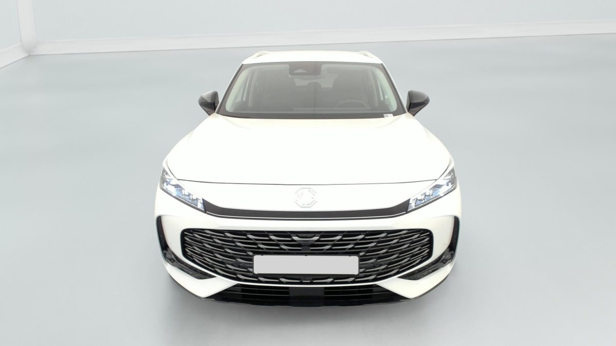 MG EHS - Image 2