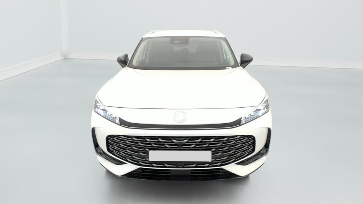 MG EHS - Image 2