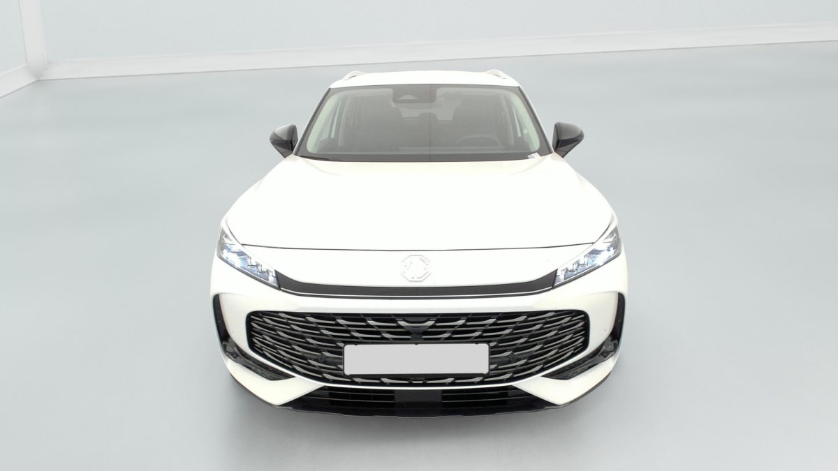 MG EHS - Image 2