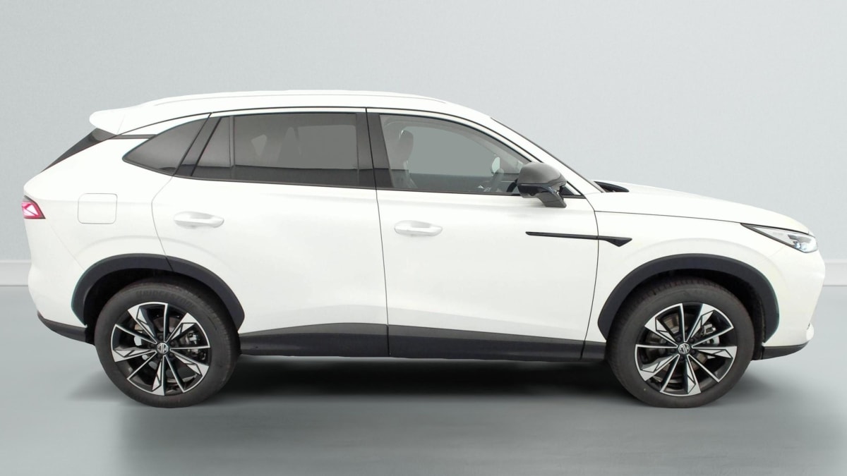 MG EHS - Image 8