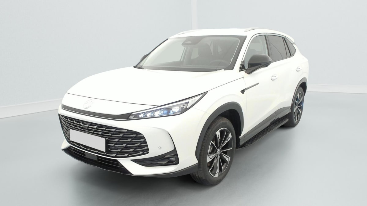 MG EHS - Image 3