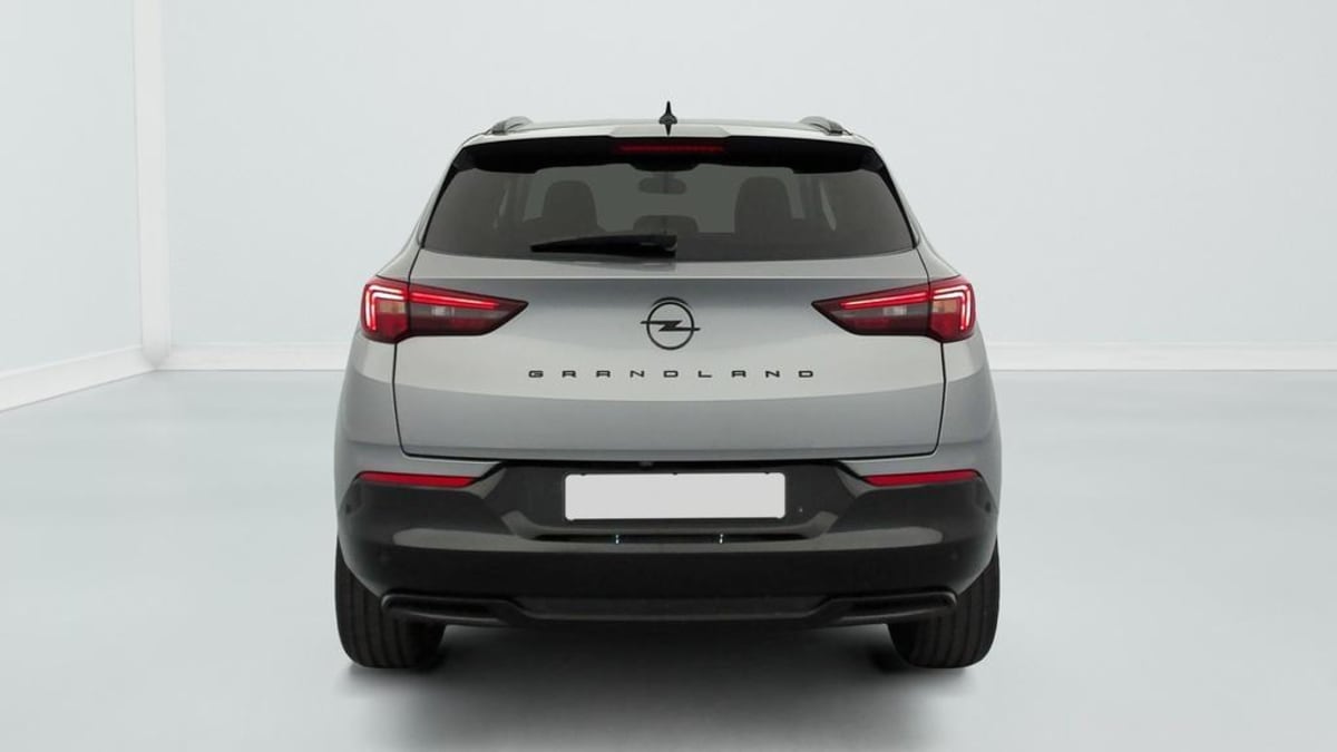 Opel Grandland X - Image 6