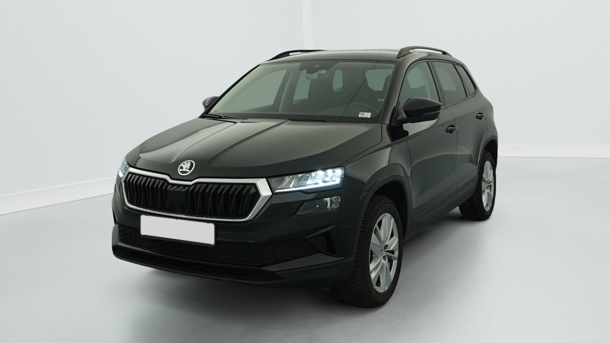 Skoda Karoq - Image 3