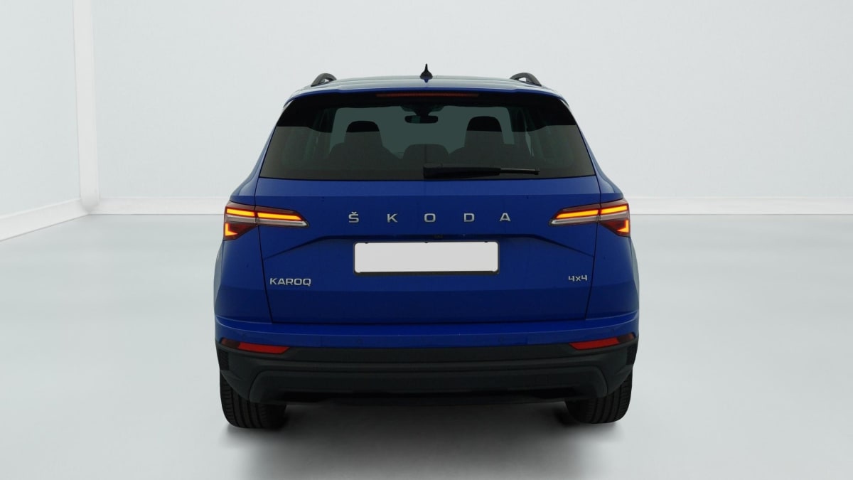 Skoda Karoq - Image 6