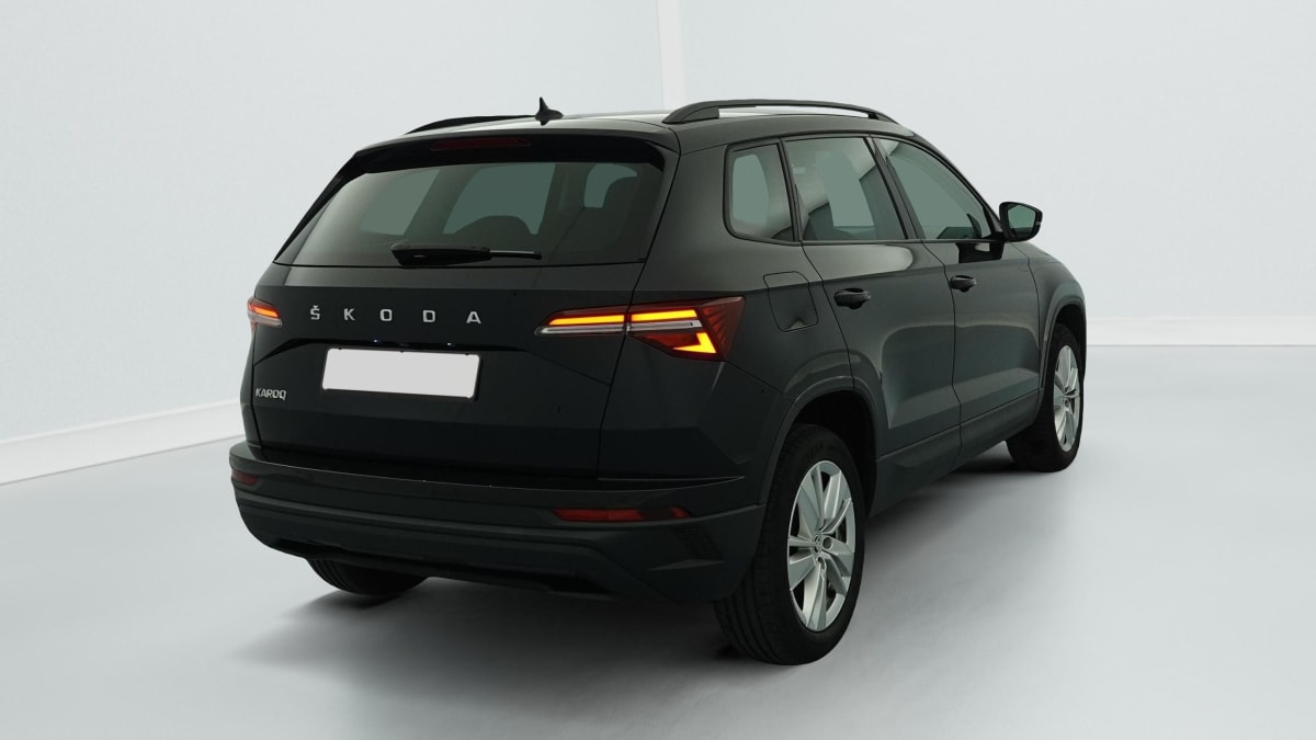 Skoda Karoq - Image 7