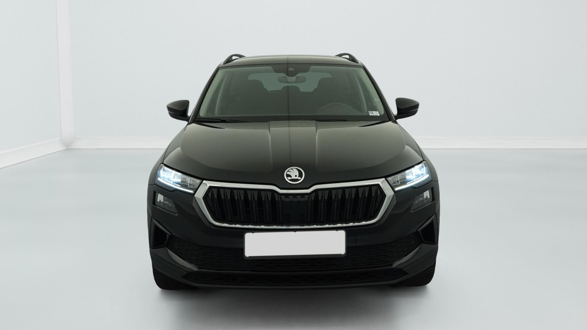 Skoda Karoq - Image 2