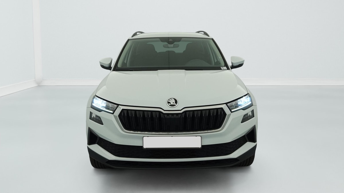 Skoda Karoq - Image 2