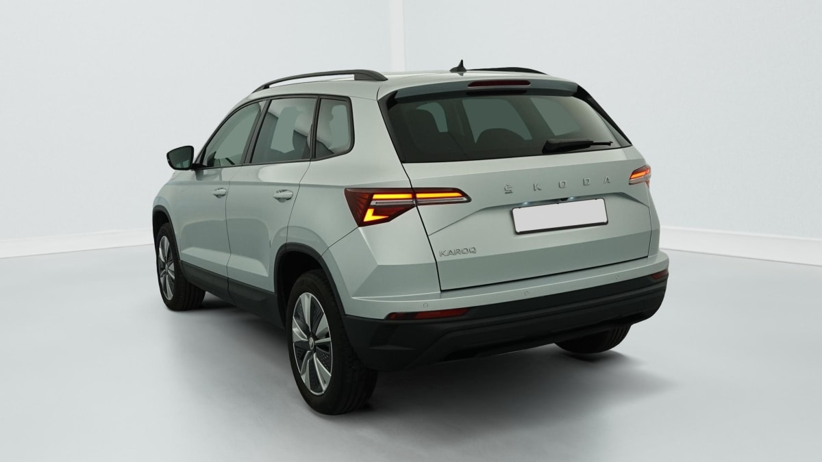 Skoda Karoq - Image 5