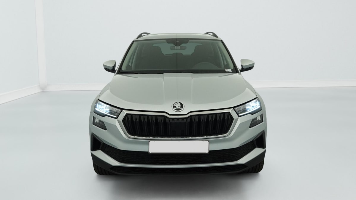 Skoda Karoq - Image 2