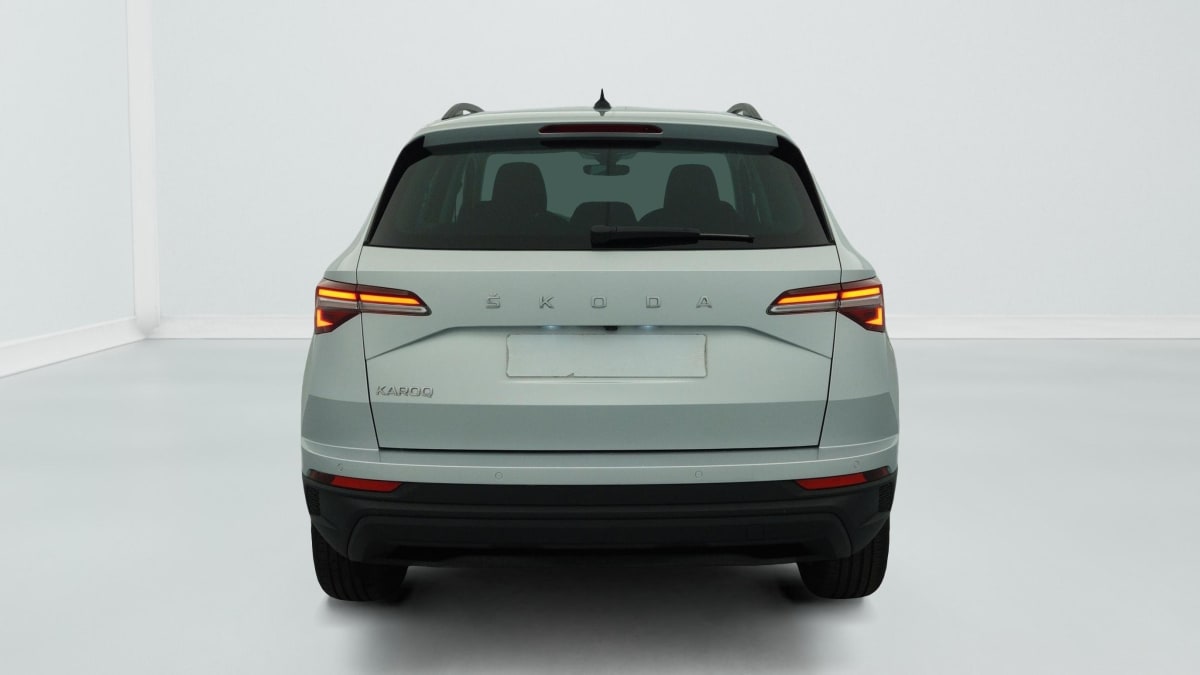 Skoda Karoq - Image 6