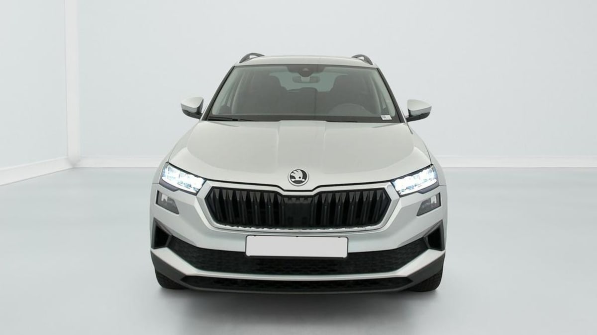 Skoda Karoq - Image 2