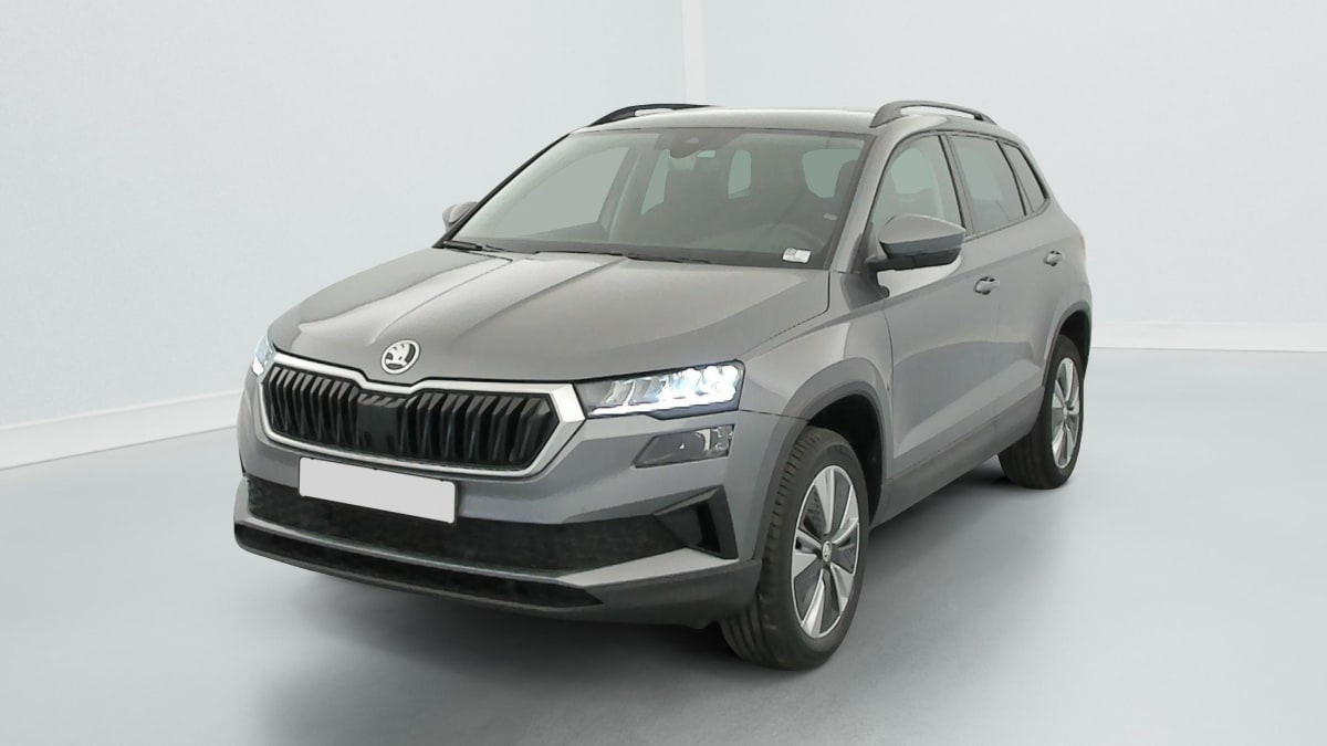 Skoda Karoq - Image 3