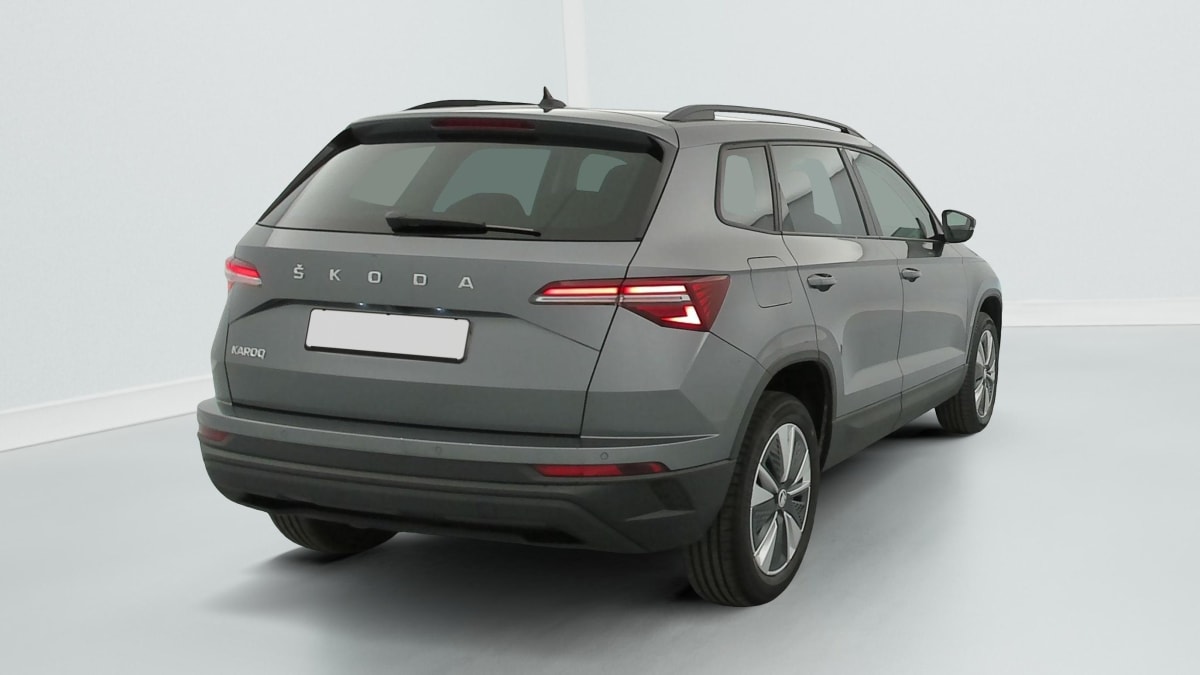 Skoda Karoq - Image 7