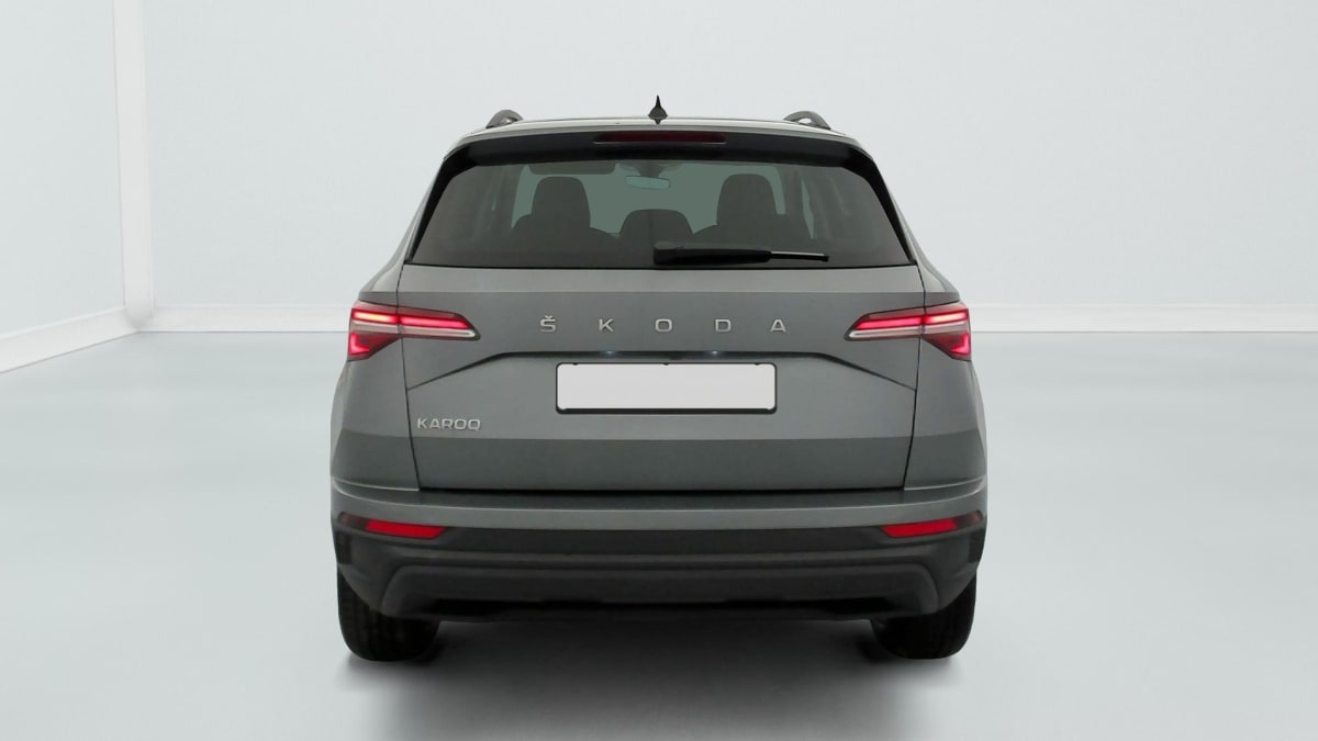 Skoda Karoq - Image 6