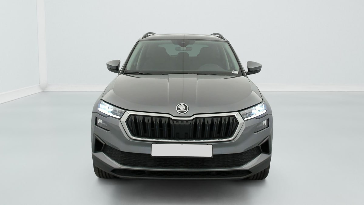 Skoda Karoq - Image 2