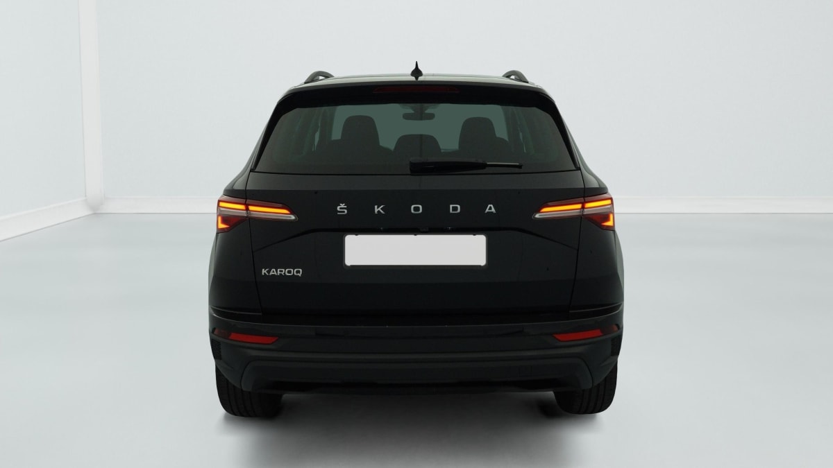 Skoda Karoq - Image 6