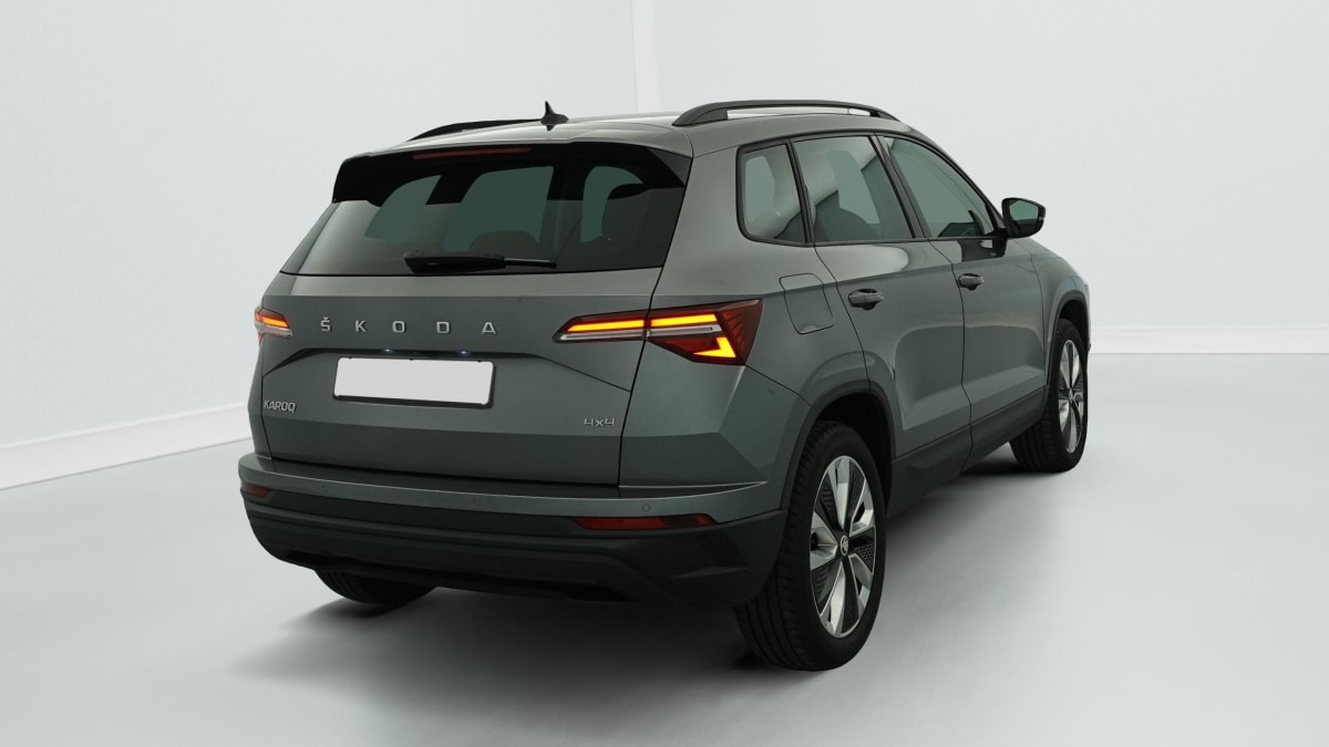 Skoda Karoq - Image 7