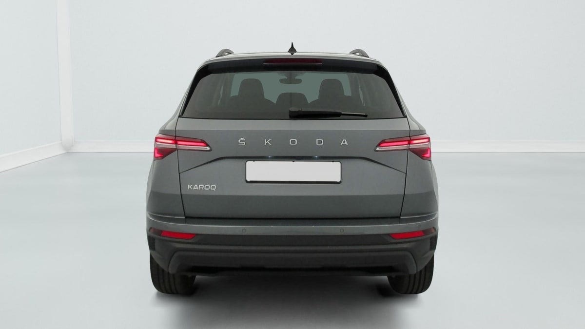 Skoda Karoq - Image 6