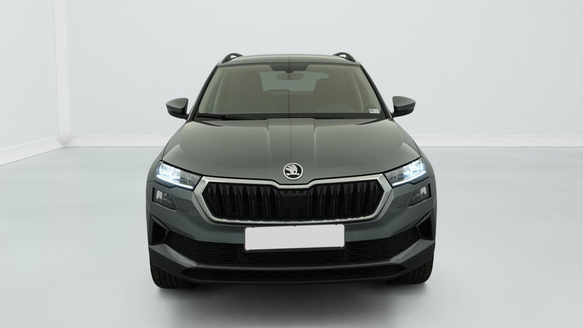 Skoda Karoq - Image 2
