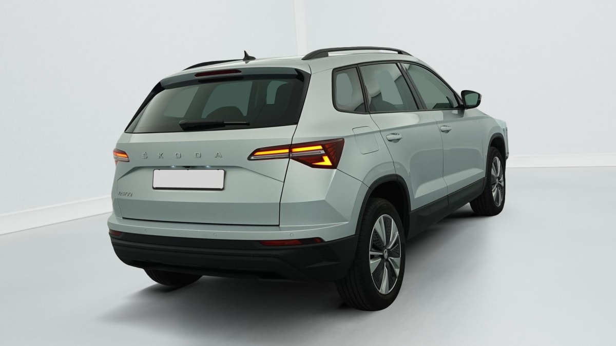 Skoda Karoq - Image 7