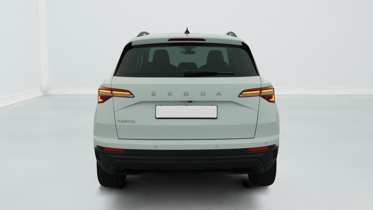 Skoda Karoq - Image 6