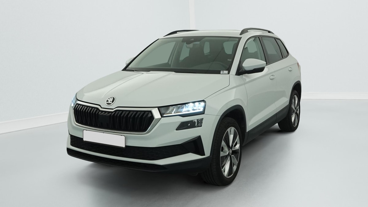 Skoda Karoq - Image 3