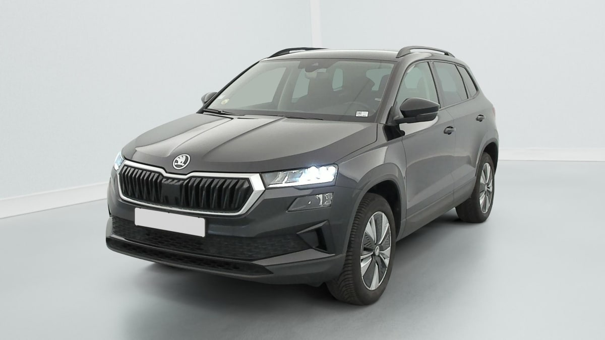 Skoda Karoq - Image 3