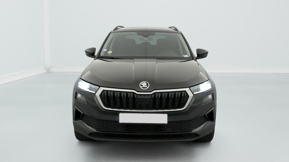 Skoda Karoq - Image 2