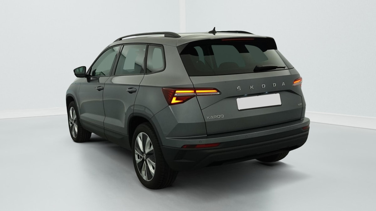 Skoda Karoq - Image 5