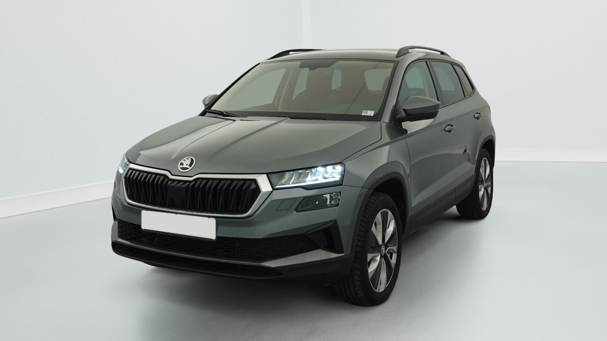 Skoda Karoq - Image 3